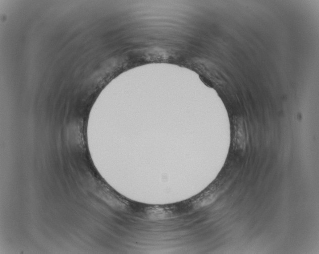 X0000062900616200602101808