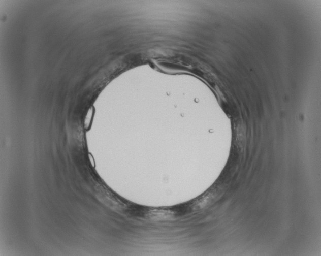 X0000062900617200602101808