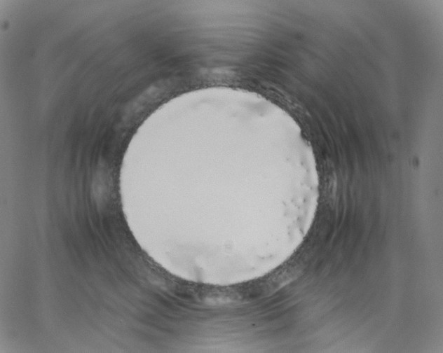 X0000062900618200602101808