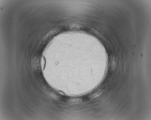 X0000062900619200602101808