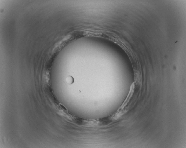 X0000062900621200602101808