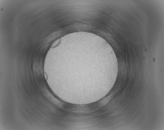 X0000062900622200602101808