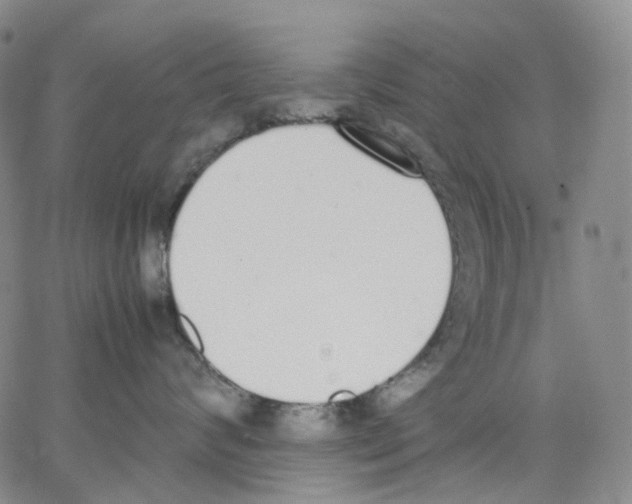 X0000062900624200602101808