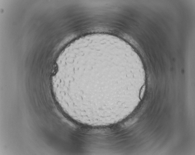 X0000062900625200602101807