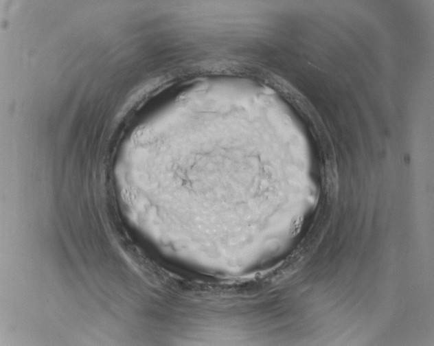 X0000062900626200602101807