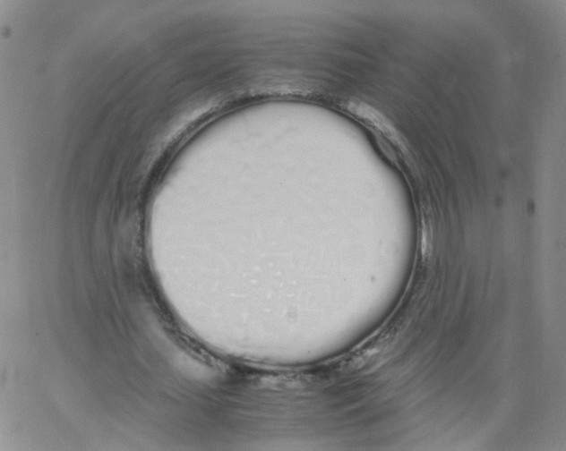 X0000062900627200602101807