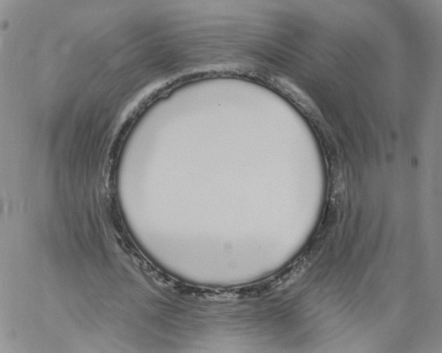 X0000062900628200602101807