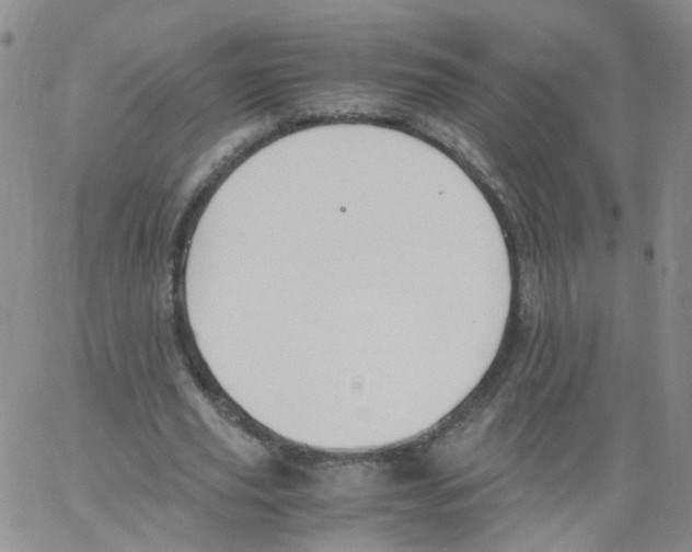 X0000062900629200602101807