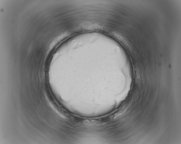 X0000062900630200602101807