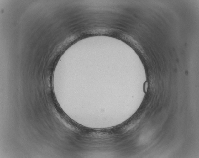 X0000062900633200602101807