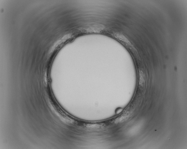 X0000062900634200602101807