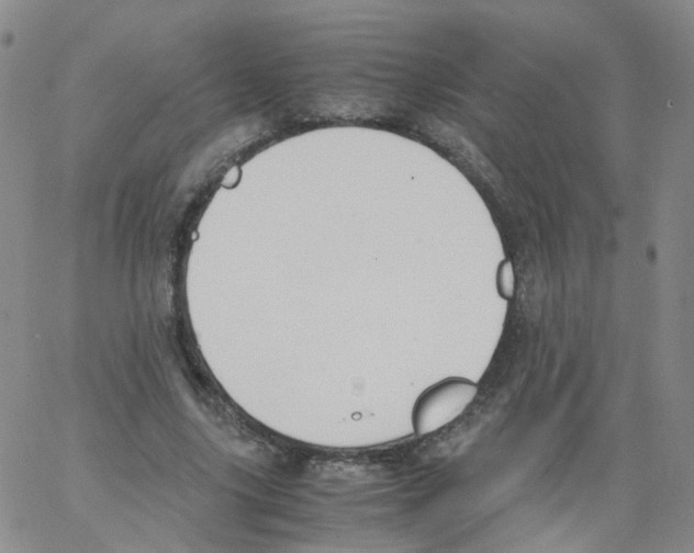 X0000062900635200602101807