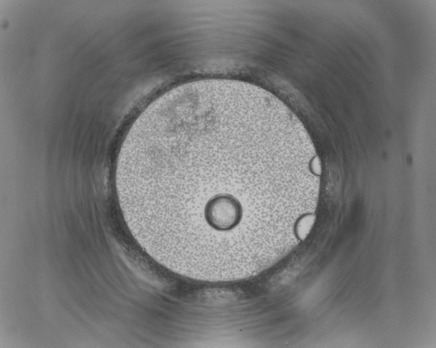 X0000062900636200602101807