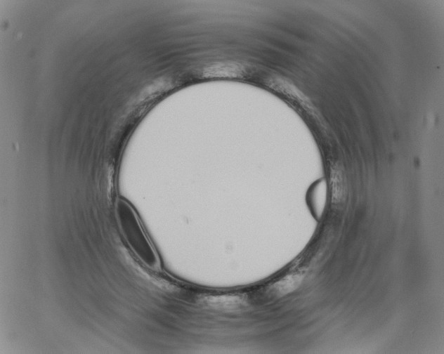 X0000062900637200602101807