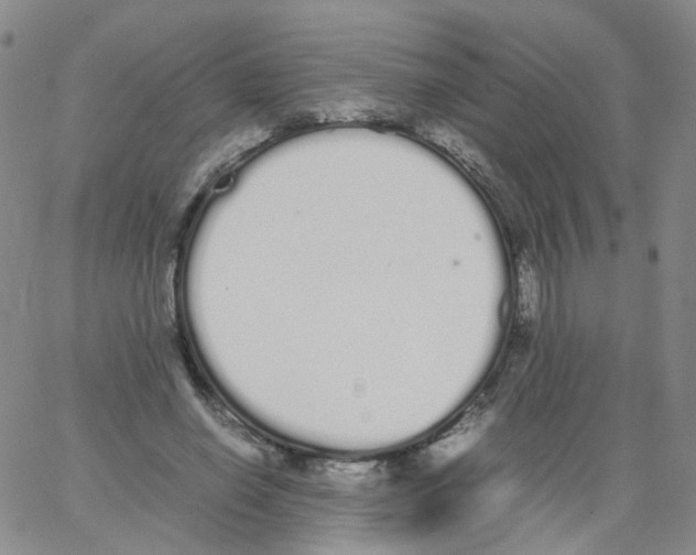 X0000062900638200602101807