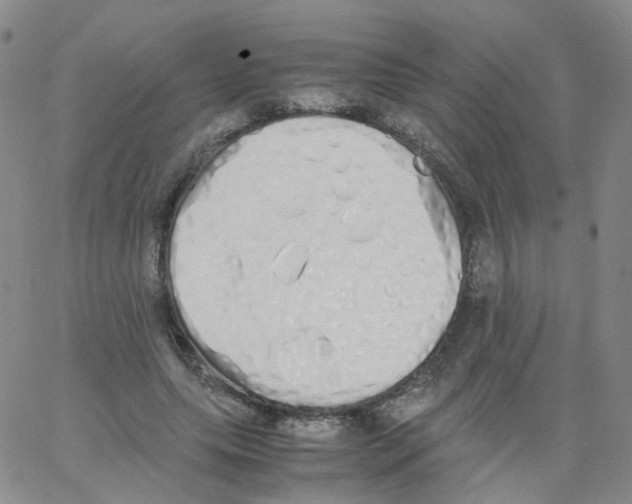 X0000062900639200602101807