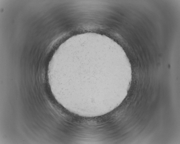 X0000062900640200602101807