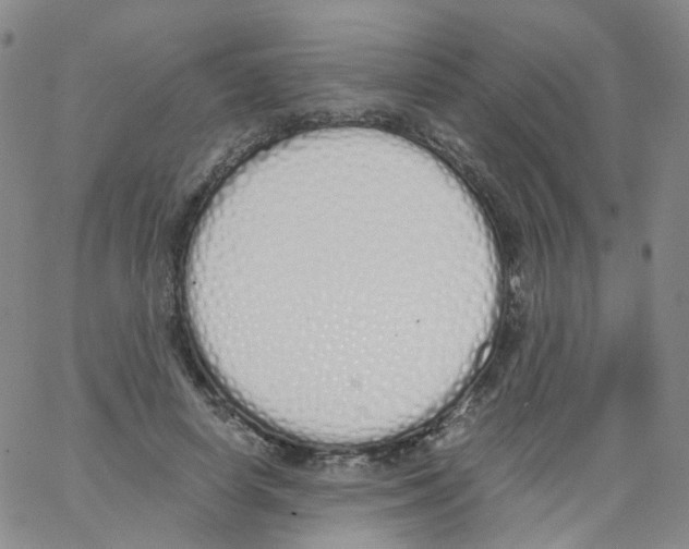 X0000062900642200602101808