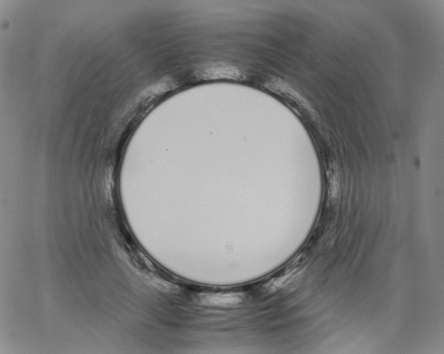 X0000062900643200602101808