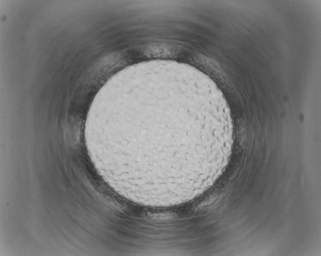 X0000062900645200602101808