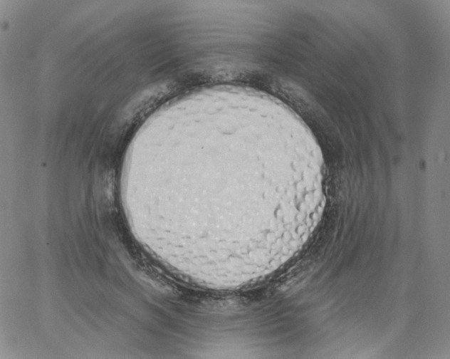 X0000062900646200602101808