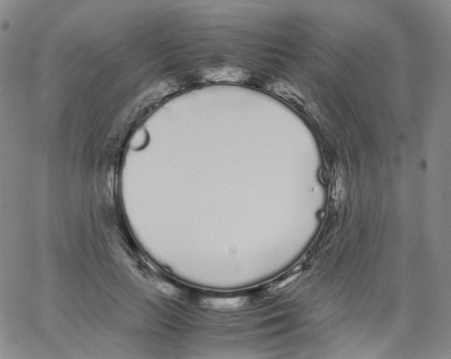 X0000062900647200602101808