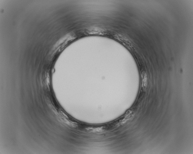 X0000062900648200602101808