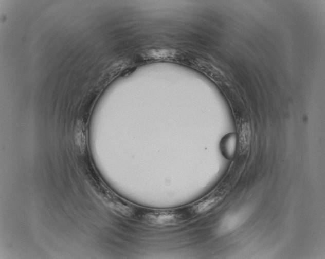 X0000062900651200602101808