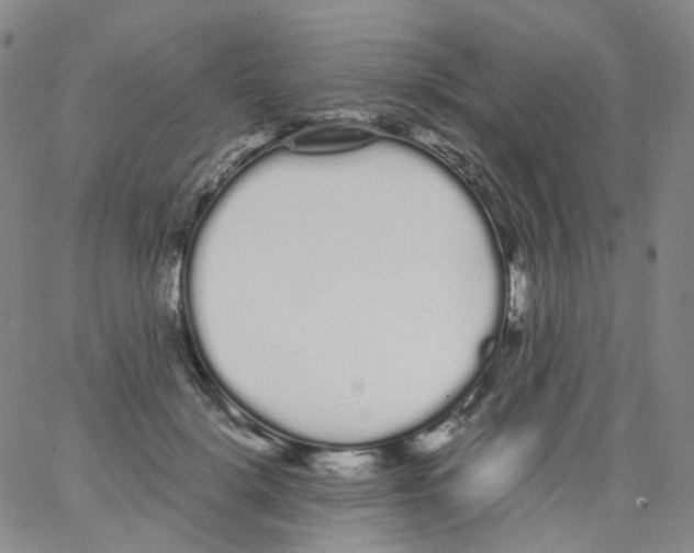 X0000062900652200602101808