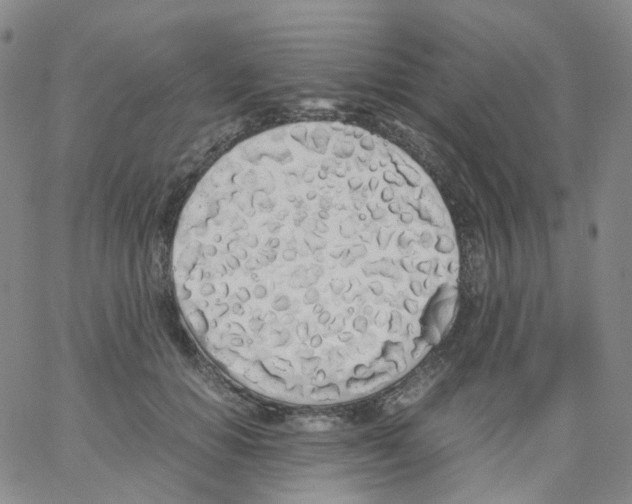 X0000062900654200602101808