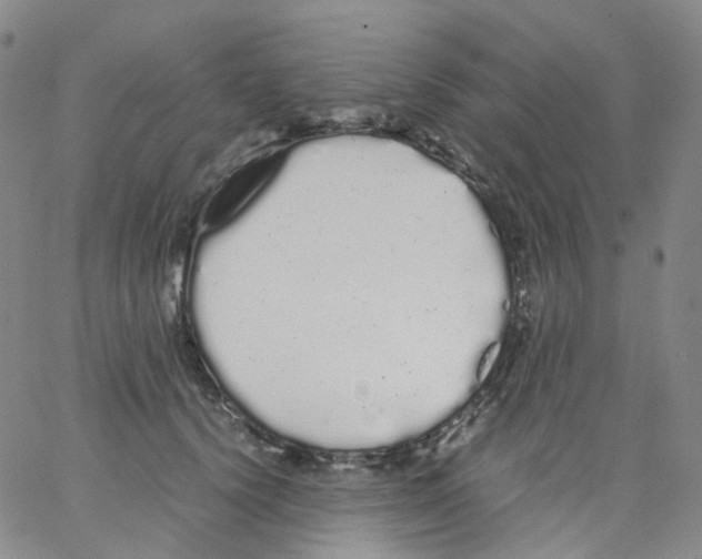 X0000062900656200602101808