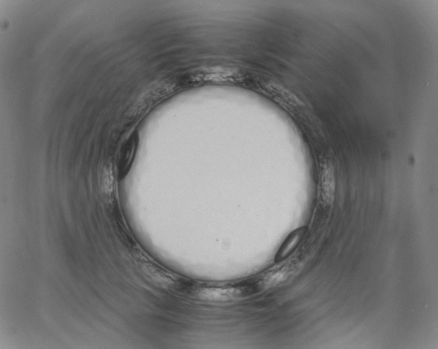 X0000062900657200602101808