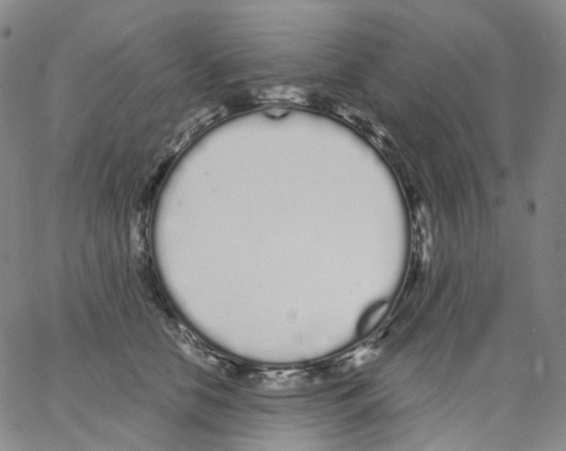 X0000062900658200602101808