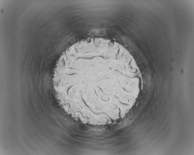 X0000062900659200602101808