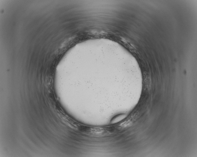 X0000062900662200602101808