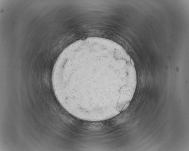 X0000062900663200602101808