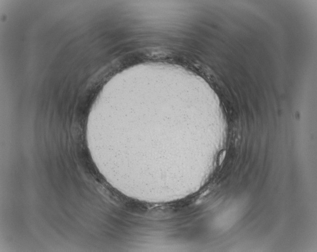 X0000062900666200602101808