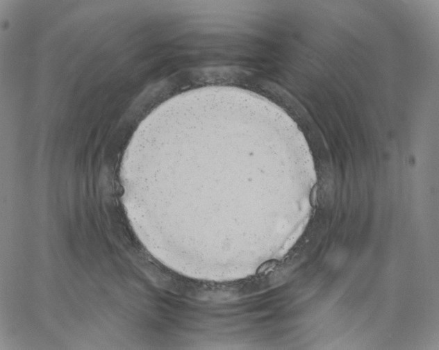 X0000062900667200602101808