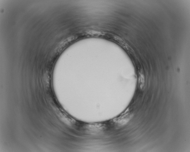 X0000062900668200602101808