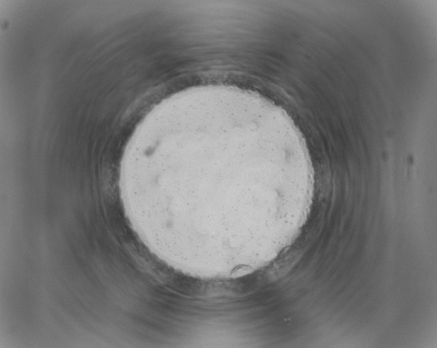 X0000062900670200602101808