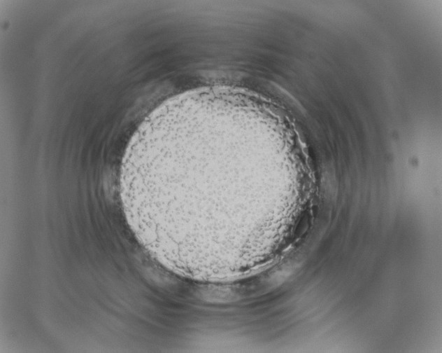 X0000062900671200602101808