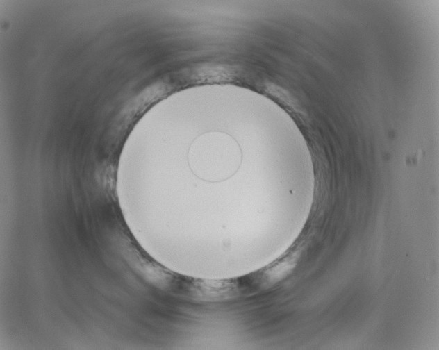 X0000062900672200602101808