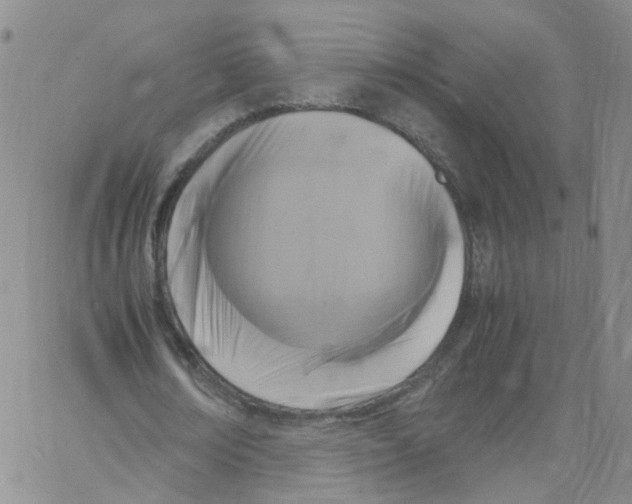 X0000062900674200602101807