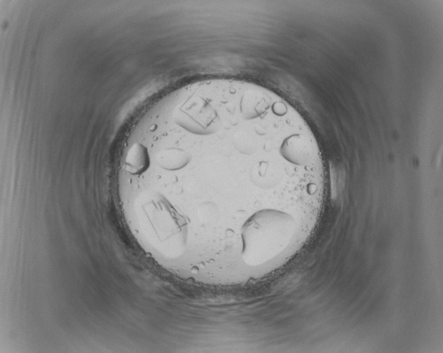 X0000062900675200602101807