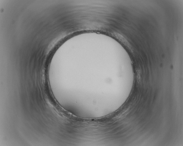 X0000062900676200602101807