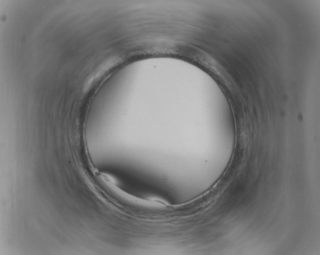 X0000062900677200602101807