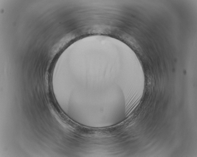 X0000062900678200602101807