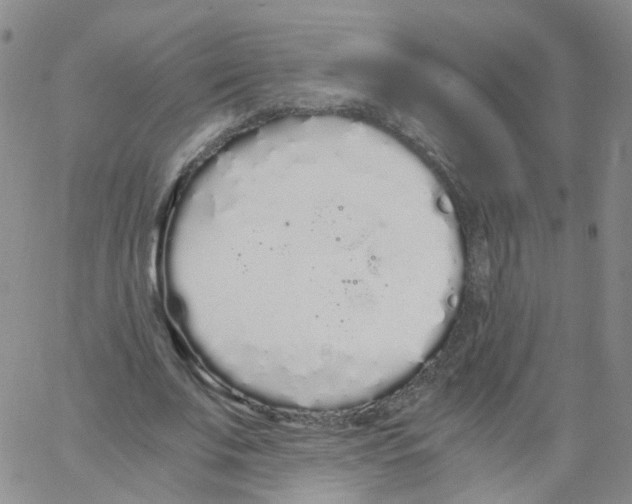 X0000062900679200602101807