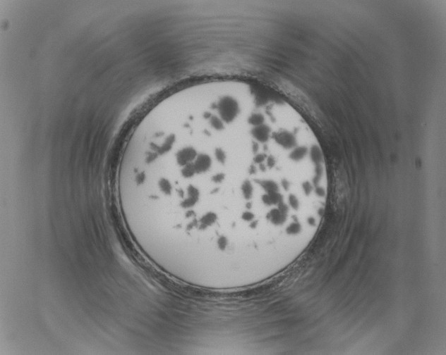 X0000062900680200602101807