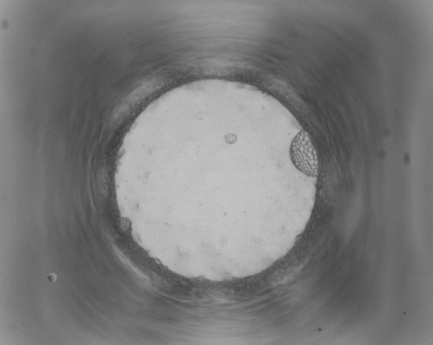 X0000062900683200602101807